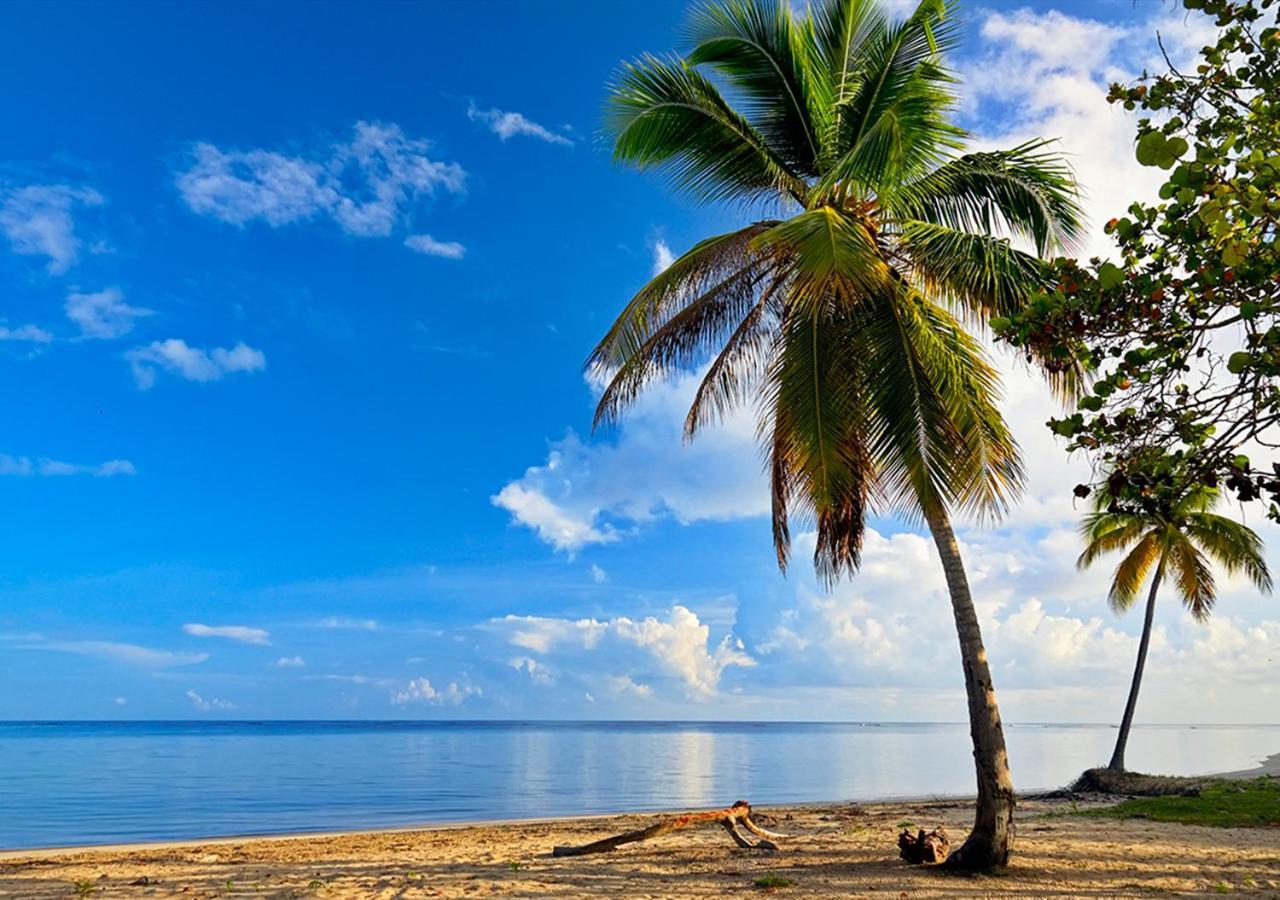 Chaykovski Boutique H Las Terrenas Bagian luar foto