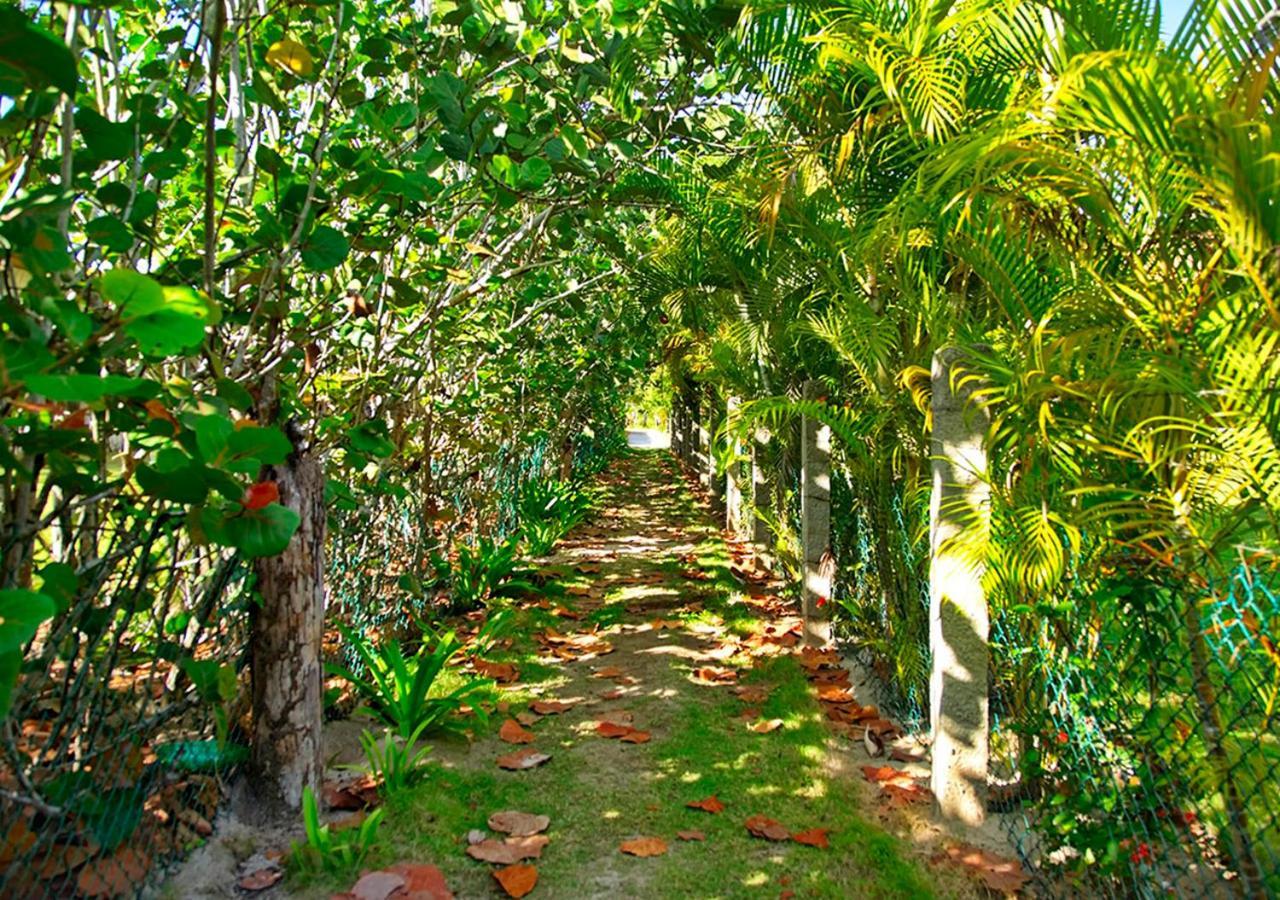 Chaykovski Boutique H Las Terrenas Bagian luar foto